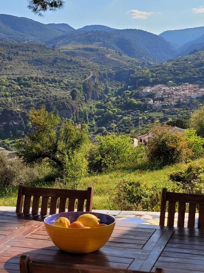 Cortijo El Pino Retreat Bed & Breakfast Albuñuelas Екстериор снимка