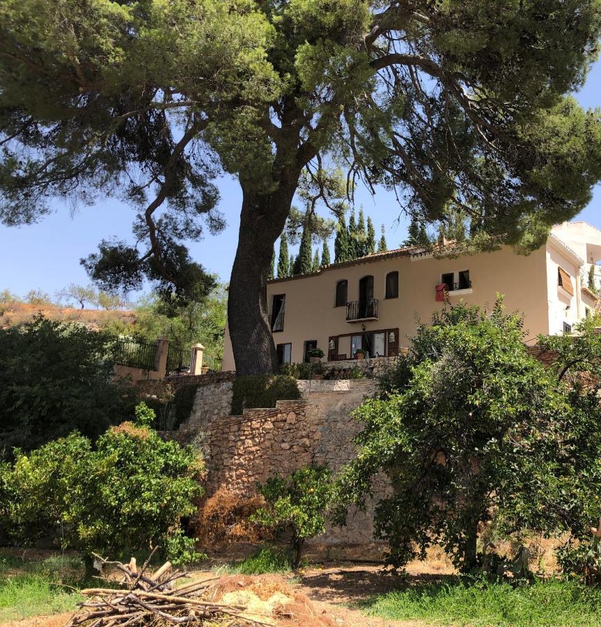 Cortijo El Pino Retreat Bed & Breakfast Albuñuelas Екстериор снимка