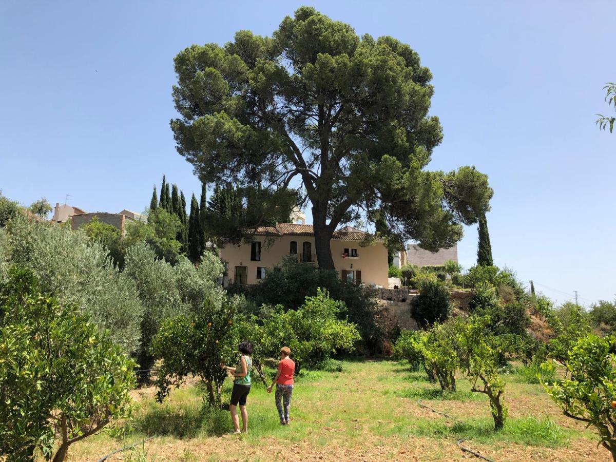 Cortijo El Pino Retreat Bed & Breakfast Albuñuelas Екстериор снимка