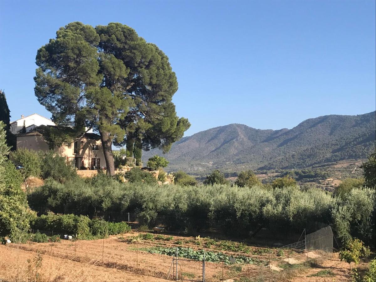 Cortijo El Pino Retreat Bed & Breakfast Albuñuelas Екстериор снимка
