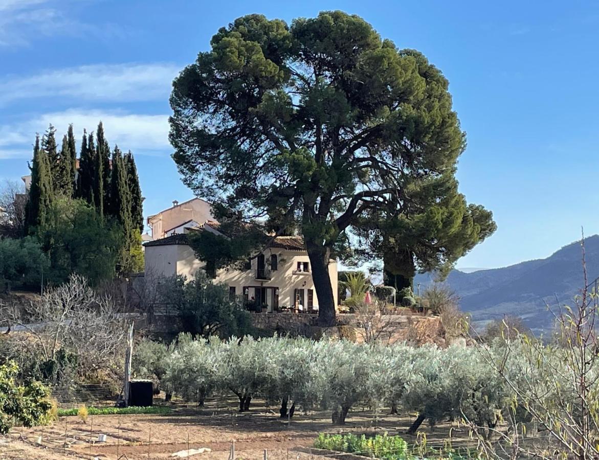 Cortijo El Pino Retreat Bed & Breakfast Albuñuelas Екстериор снимка
