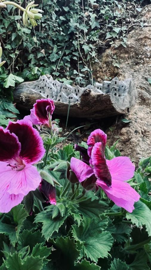 Cortijo El Pino Retreat Bed & Breakfast Albuñuelas Екстериор снимка